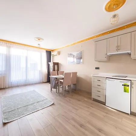 The Taksim Apart 44 Hotel Istanboel